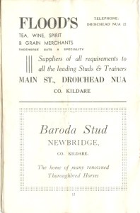 Advertisement "Floods, Baroda Stud"  Newbridge / Droichead Nua