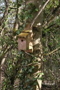 Bird Boxes Erected on the Island in 2010