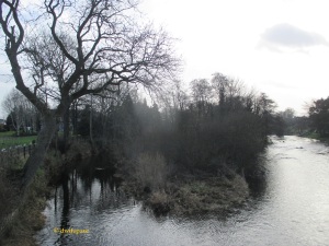 The Island viewed from St. Conleth’s Bridge