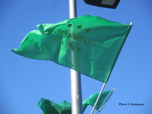 Flag Patricks Festival, Newbridge