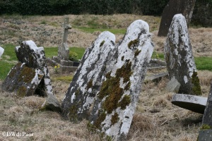 Pollardstown Headstones covered with lichens or mosses make them difficult to decipher.