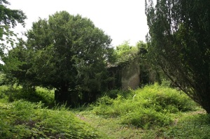 Great Connell Graveyard Overgrown with Church in Background